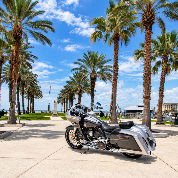2009-2024 Harley-Davidson Touring Series Ultimate Ride Kit w/Rebound Adj. (Chrome)