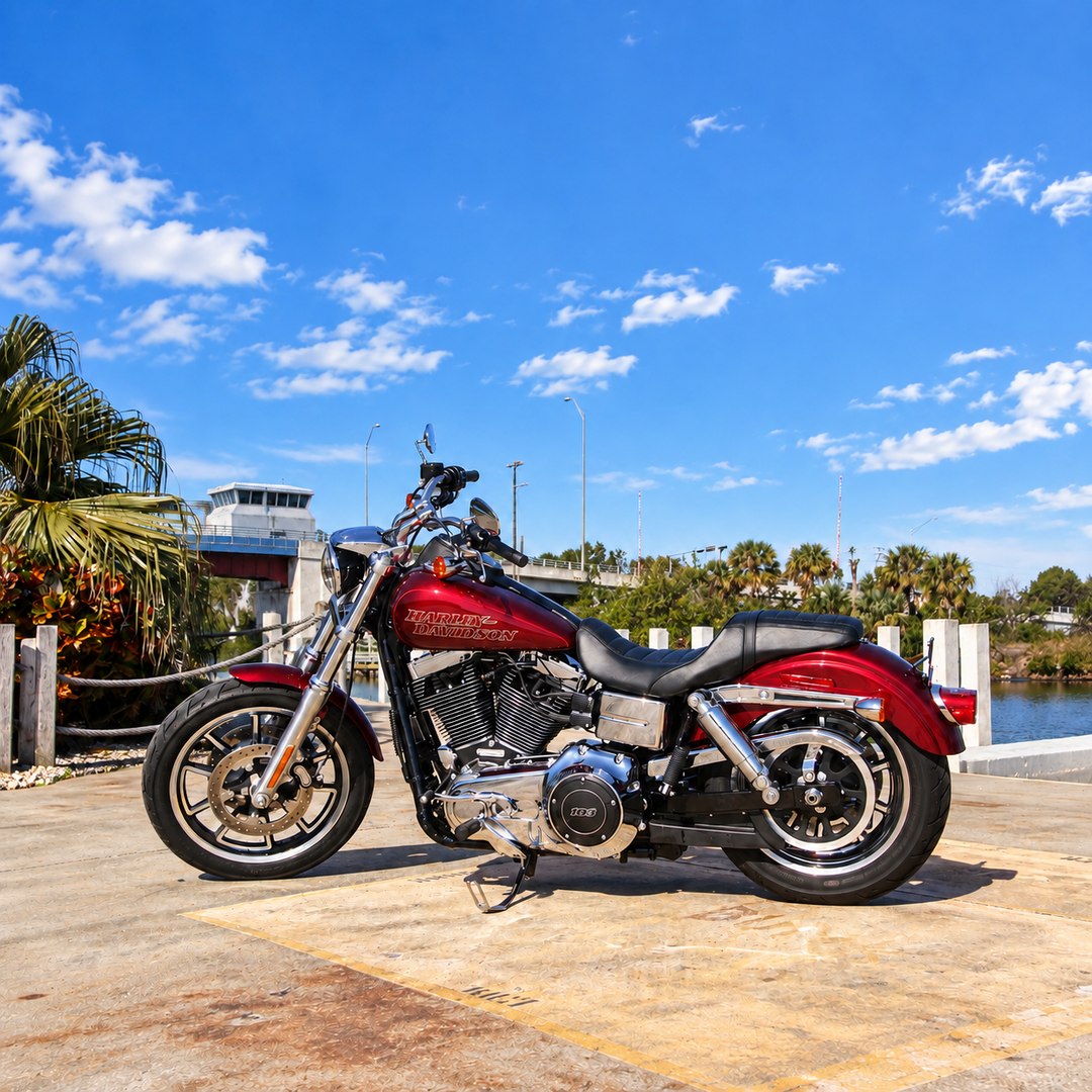 1991-2007 Harley-Davidson Dyna Ultimate Ride Kit w/Rebound Adj. (Chrome)